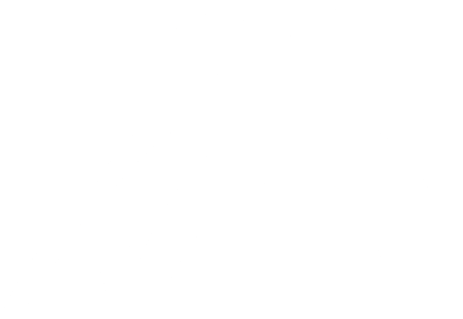 Lang Bikes Logo